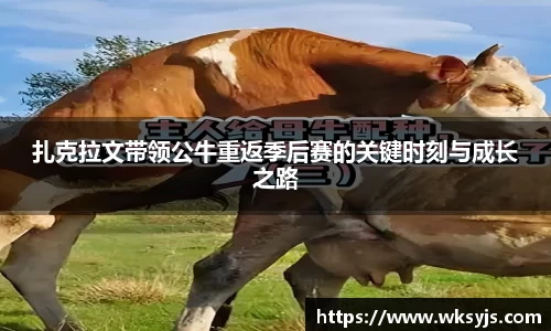 九游娱乐